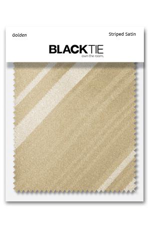 Cardi Golden Striped Satin Fabric Swatch