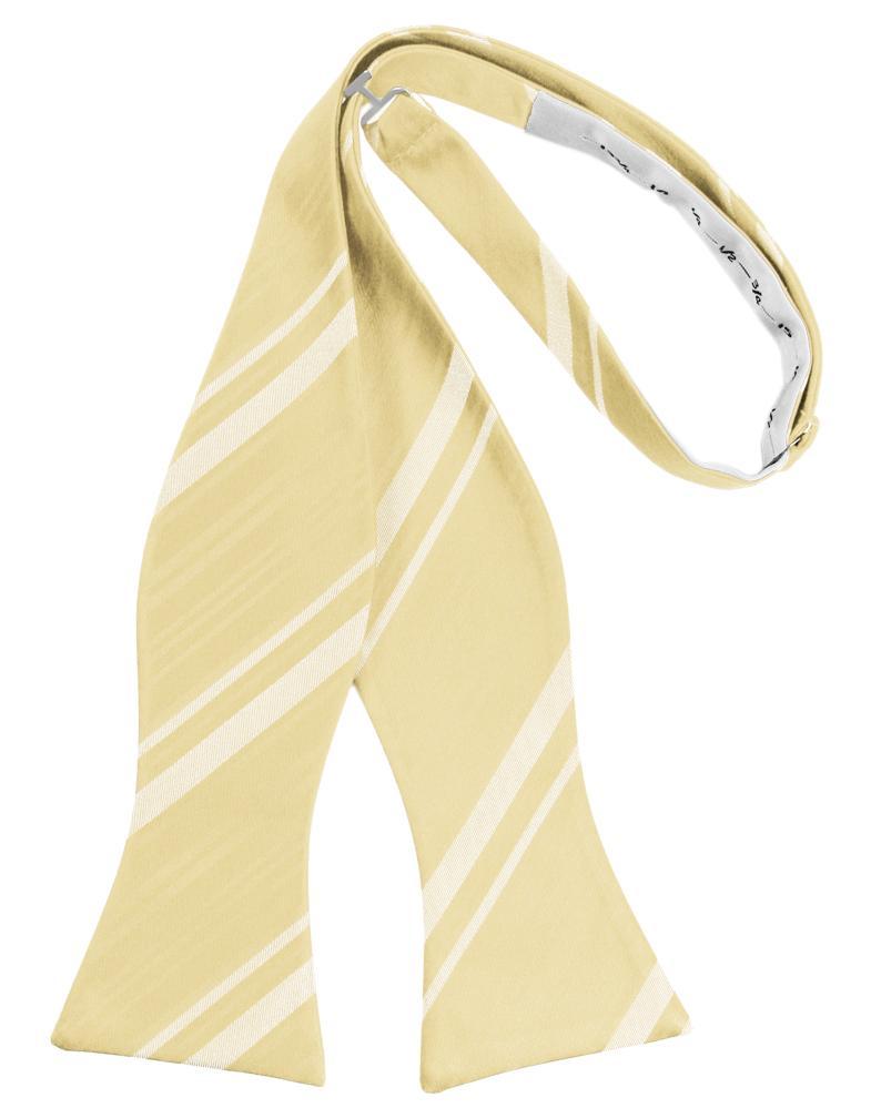 Banana Striped Satin Bow Tie - self-tie style, front view