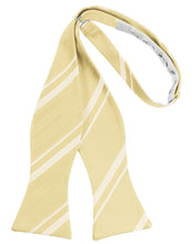 Cardi Self Tie Banana Striped Satin Bow Tie