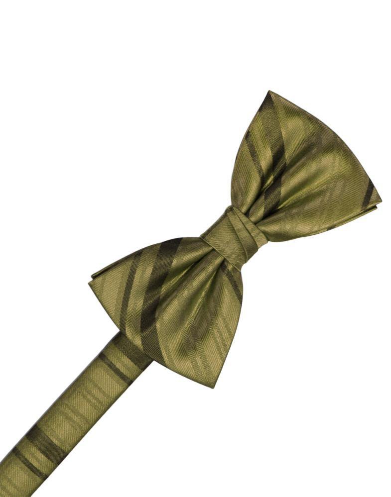 Cardi Pre-Tied Fern Striped Satin Bow Tie