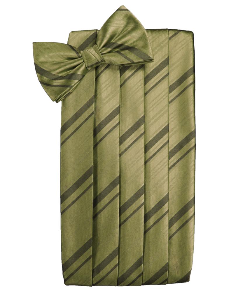 Cardi Fern Striped Satin Cummerbund