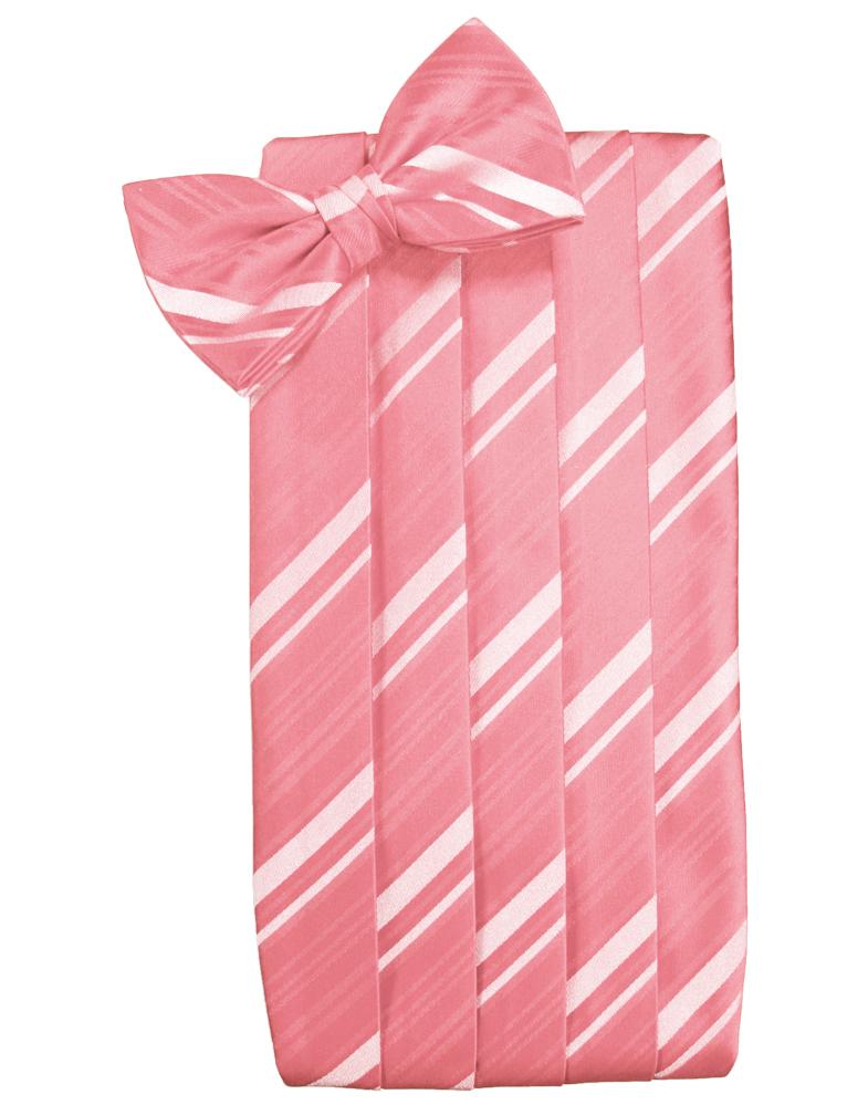 Cardi Guava Striped Satin Cummerbund