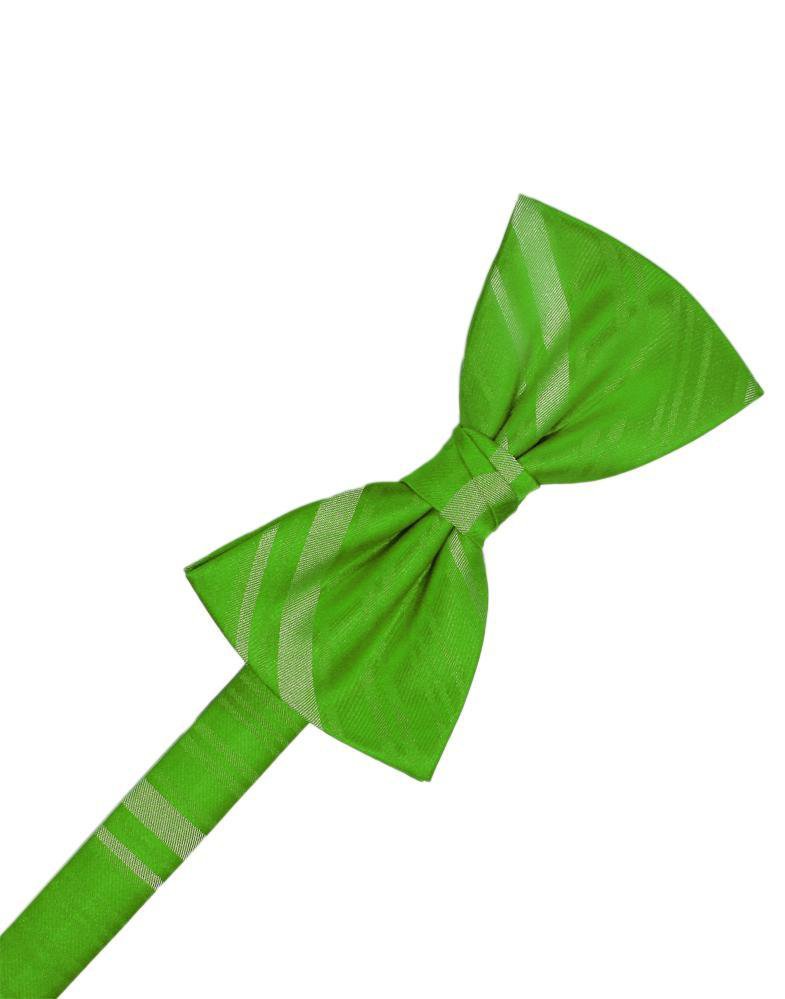 Kelly Luxury Satin Necktie