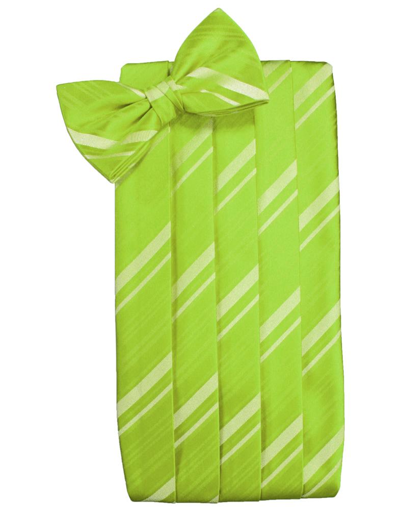 Cardi Lime Striped Satin Cummerbund