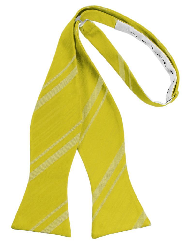 Willow Striped Satin Bow Tie - self-tie style, front view