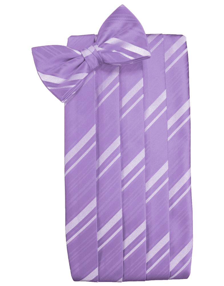 Cardi Wisteria Striped Satin Cummerbund