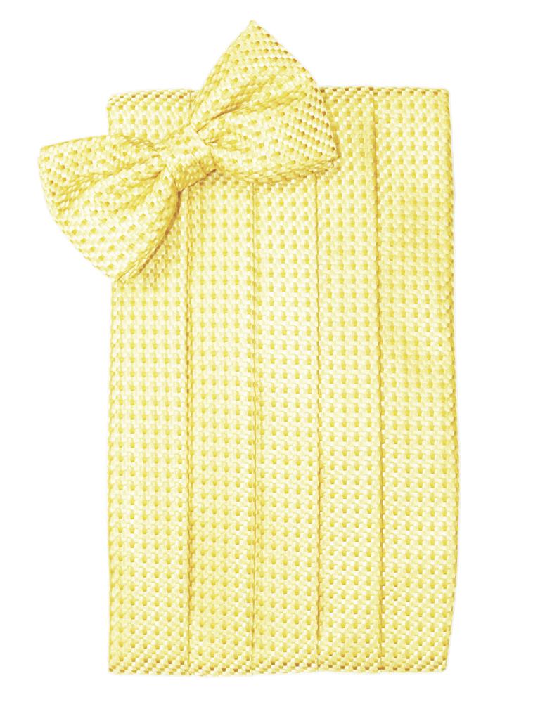 Cardi Buttercup Venetian Cummerbund