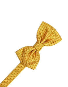 Cardi Gold Venetian Bow Tie