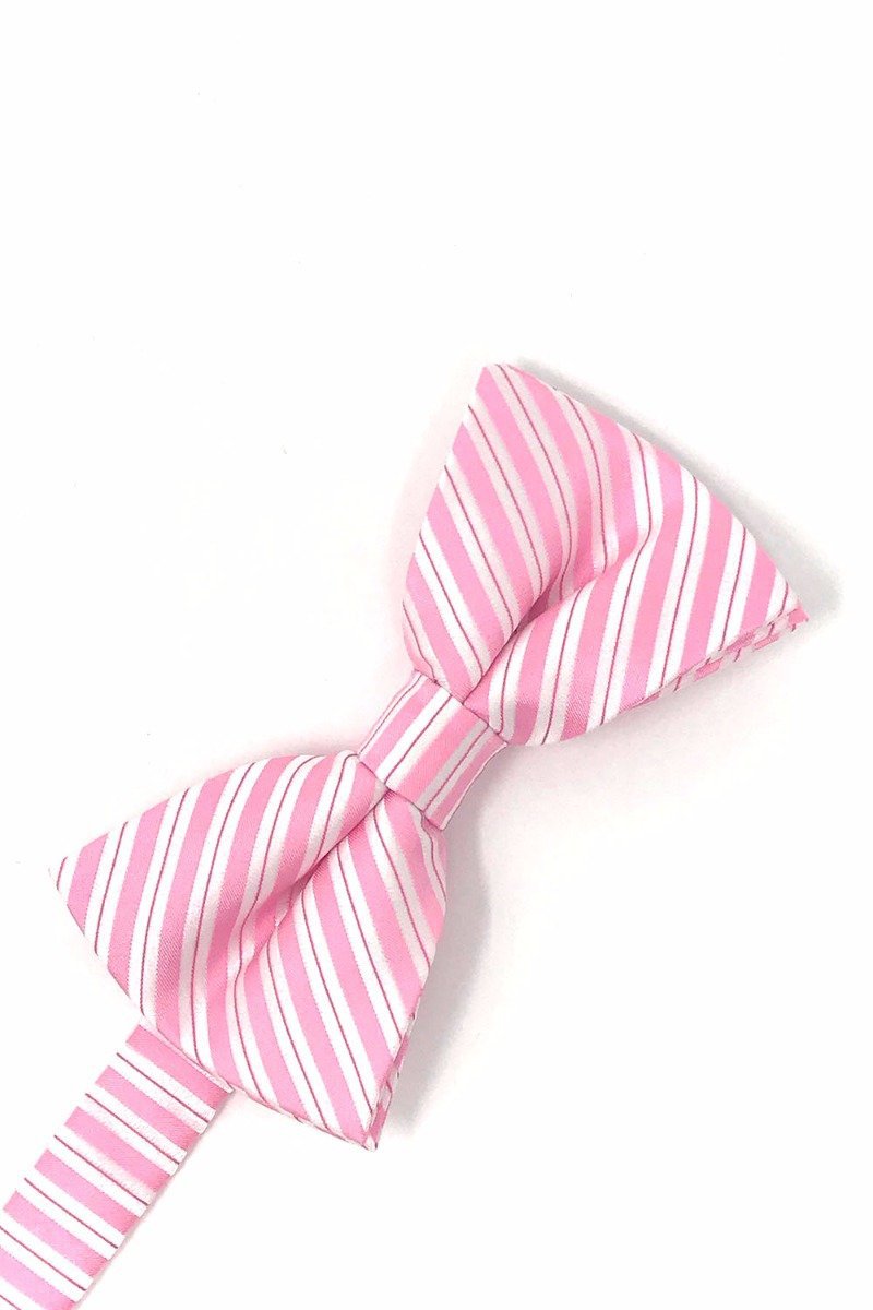 Cardi Pre-Tied Pink Newton Stripe Bow Tie