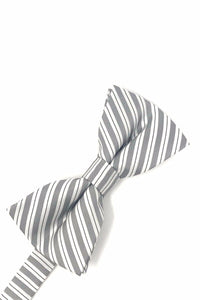 Cardi Pre-Tied Grey Newton Stripe Bow Tie