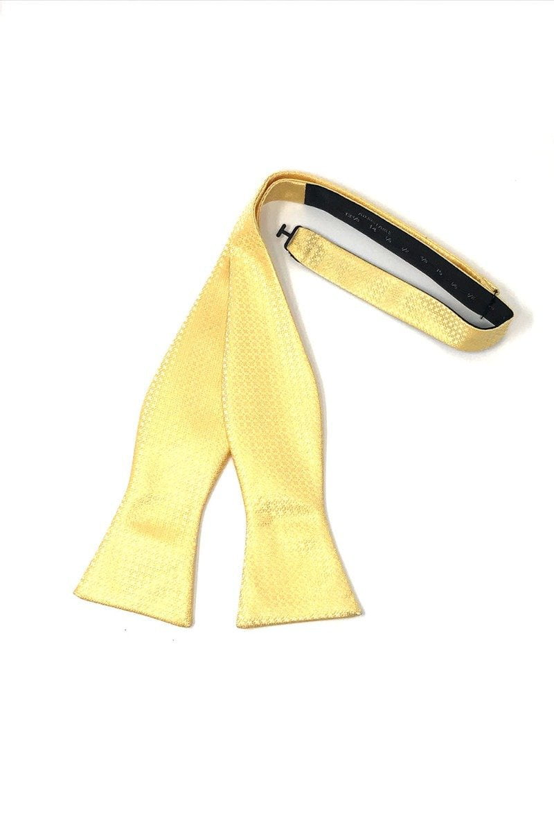Harvest Maize Regal Bow Tie - self-tie style, front view
