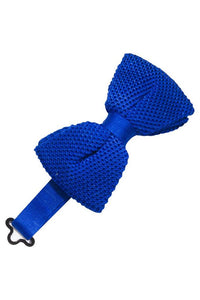 Cristoforo Cardi Royal Blue Silk Knit Bow Tie